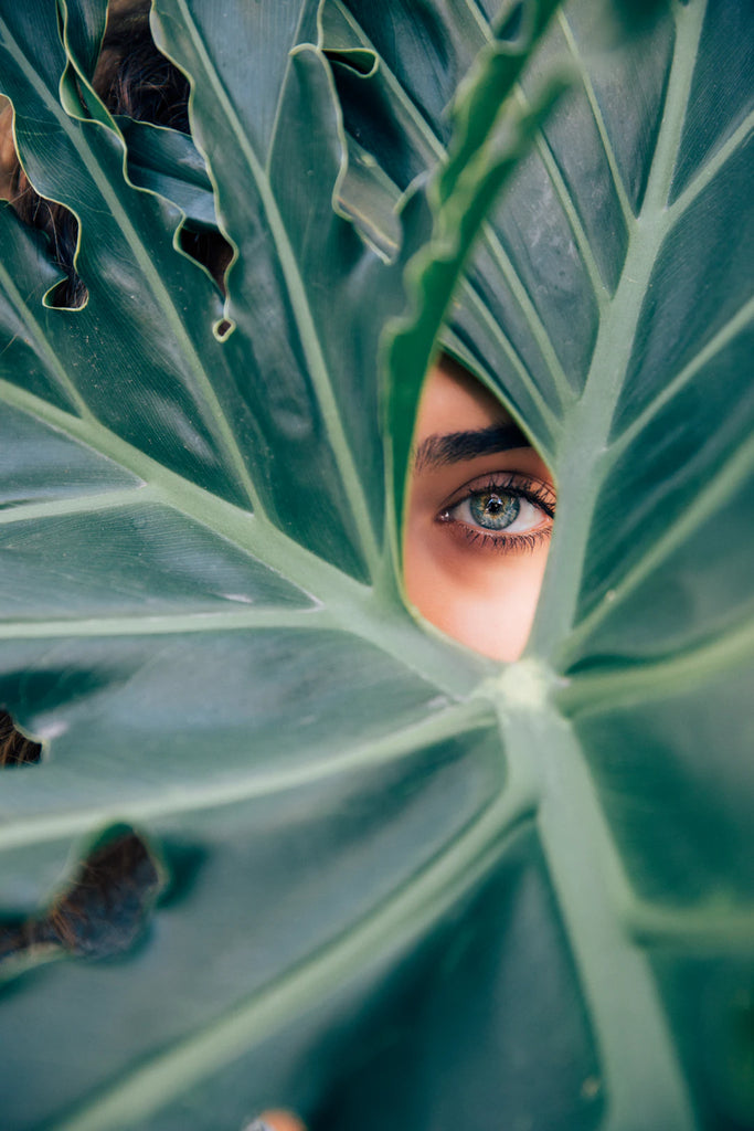 Duurzaamheid  Wellness De Verbondenheid Ontdekken