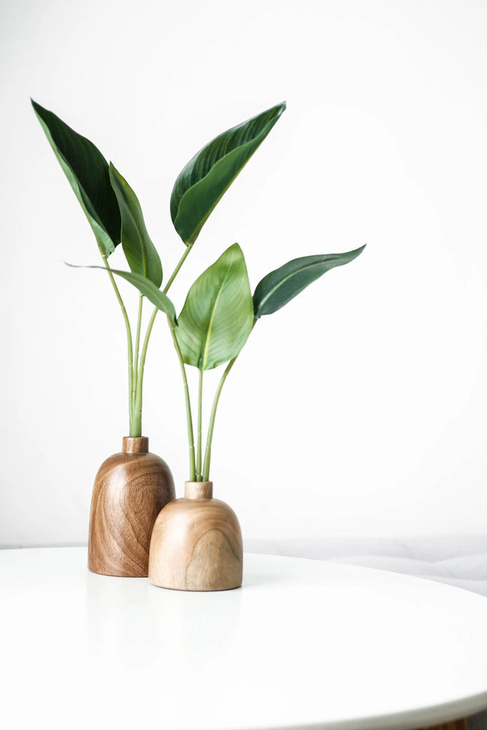 Breng de Natuur naar Binnen De Voordelen van Natuur in Huis met Beelden en Decoratie