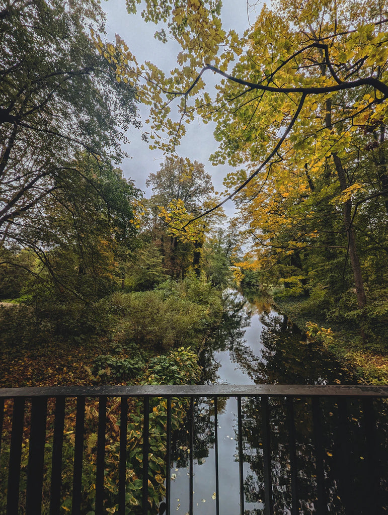 Creëer een Rustgevende Omgeving voor Jouw Wellbeing