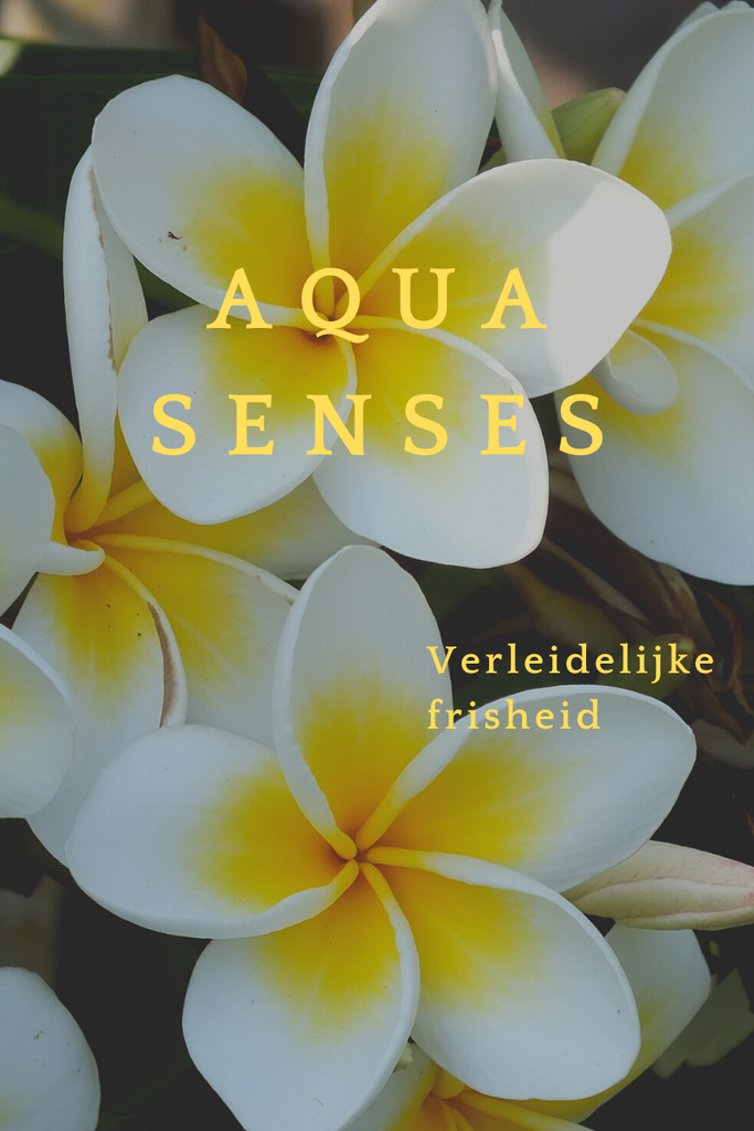 Aqua Senses Sapone Liquido 300ml